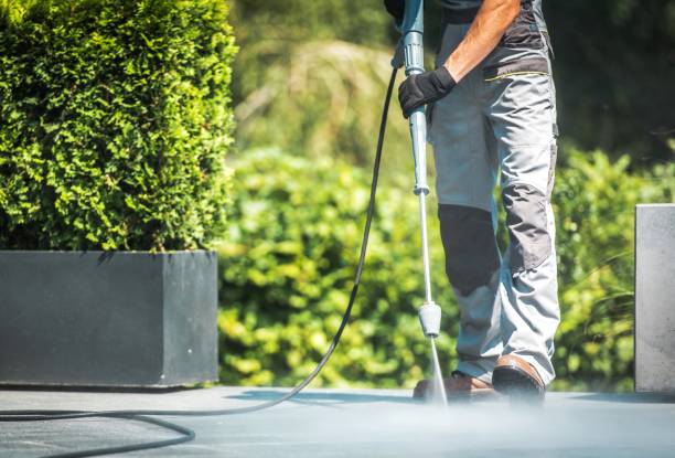 Best Gutter Cleaning  in Morrice, MI