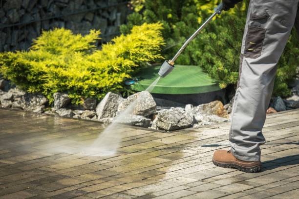  Morrice, MI Pressure Washing Pros