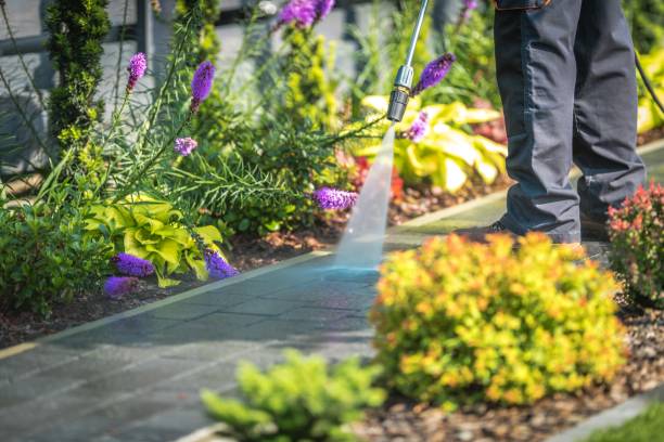 Best Driveway Pressure Washing  in Morrice, MI