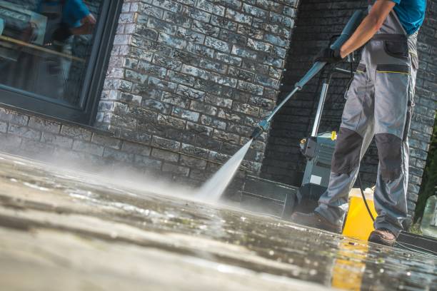 Professional Pressure Washing in Morrice, MI