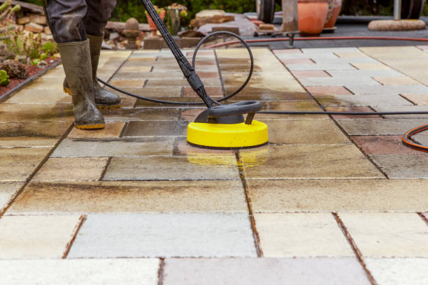 Best Pre-Holiday Cleaning  in Morrice, MI