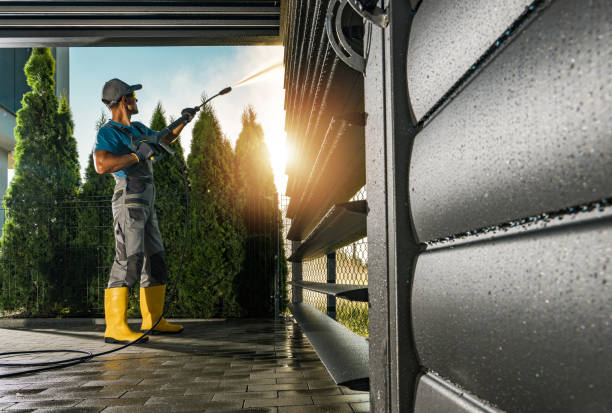 Best Solar Panel Cleaning  in Morrice, MI