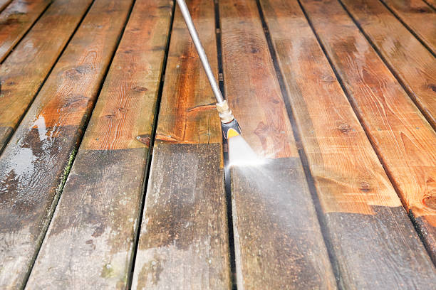 Best Playground Equipment Cleaning  in Morrice, MI