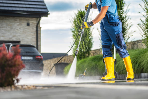 Best Warehouse Cleaning  in Morrice, MI