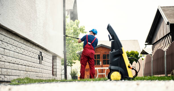 Best Graffiti Removal  in Morrice, MI