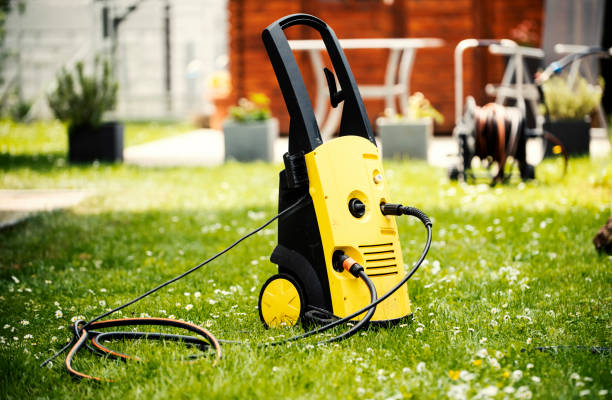 Animal Enclosure Cleaning in Morrice, MI